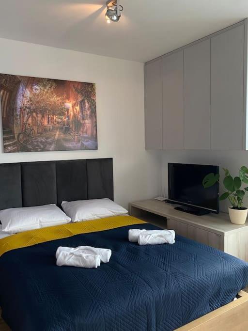 Ladny Apartament W Centrum Krakowa Z Tarasem. Dış mekan fotoğraf